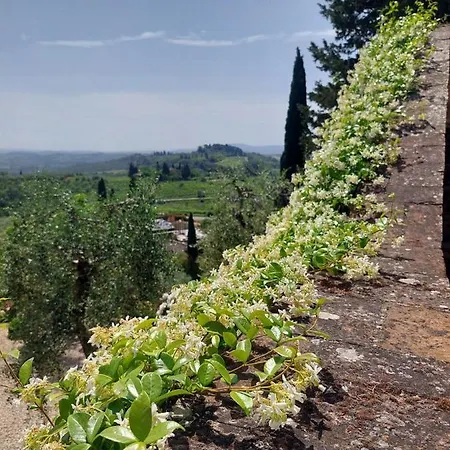 Montagnana - Relax And Stunning View 公寓 圣吉米纳诺