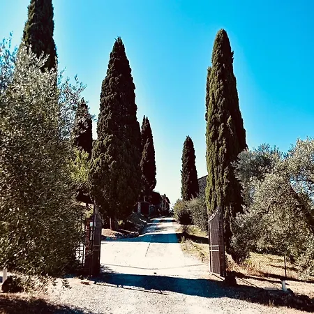 Montagnana Apartamento *